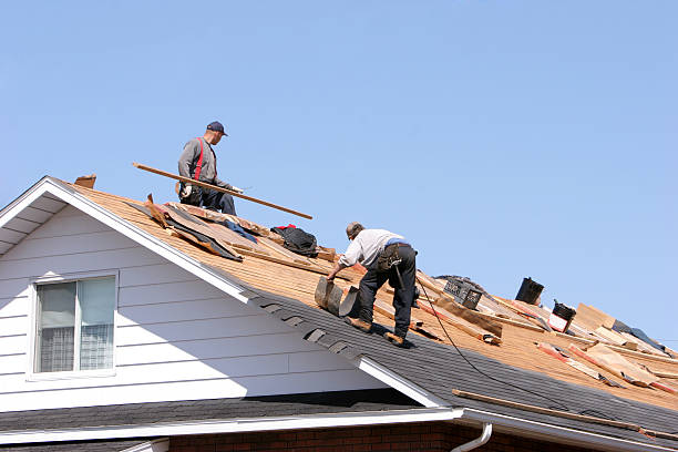 Best Asphalt Shingle Roofing  in Park Hills, MO